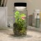 Make a Glass Jar Monster Garden Creative Reset image 1